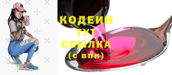 гашик Горнозаводск