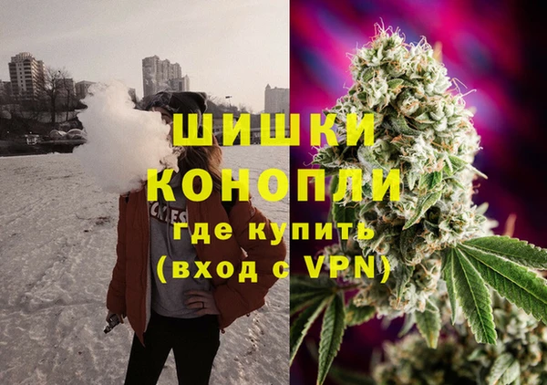 гашик Горнозаводск