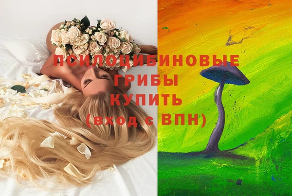 молекула духа Горняк