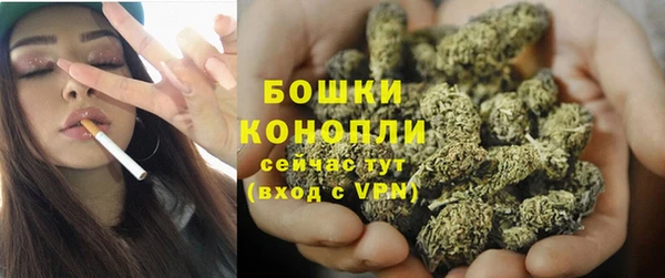 дмт Горно-Алтайск