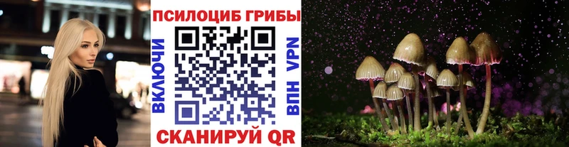 Псилоцибиновые грибы мухоморы  магазин    Смоленск 